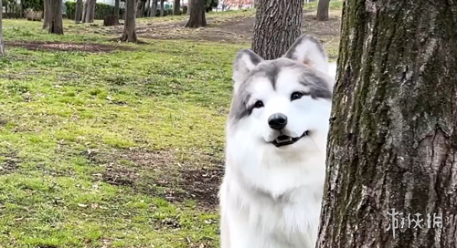 体育,产品,B体育,B体育,B体育官网,B体育官方,B体育下载