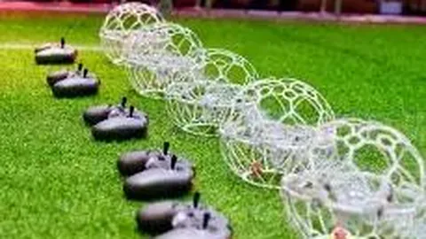 B体育 资讯 091608 yok