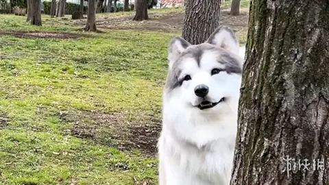 B体育 产品 091520 pwk