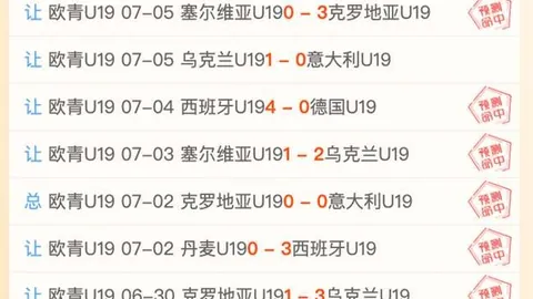 2026实战指南B体育App：深度解析杭州临平吴越对阵江西庐山组合对决