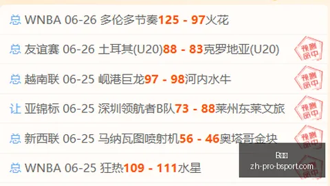 男篮无缘林葳B体育官网：三大关键因素